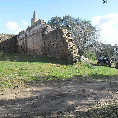 Villa Monte do Brejinho de Água Carvalhal  Exterior foto